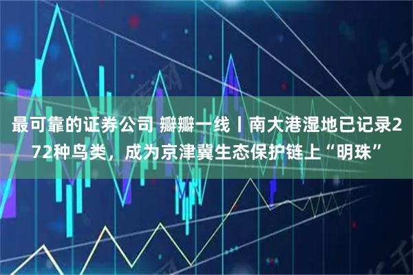 最可靠的证券公司 瓣瓣一线丨南大港湿地已记录272种鸟类，成为京津冀生态保护链上“明珠”