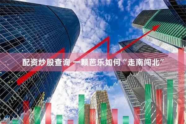 配资炒股查询 一颗芭乐如何“走南闯北”